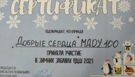 Зимние забавы РДШ 2021